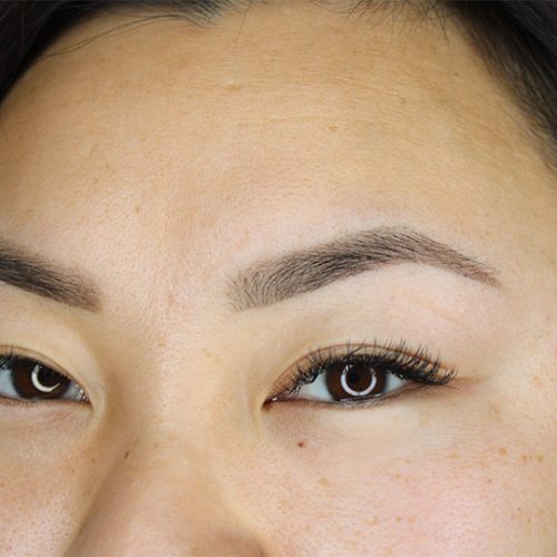 abnikka-soft-pixel-brows-academy-advanced-art-by-nikka