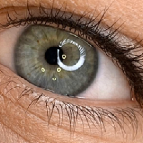 eyeliner helet golden